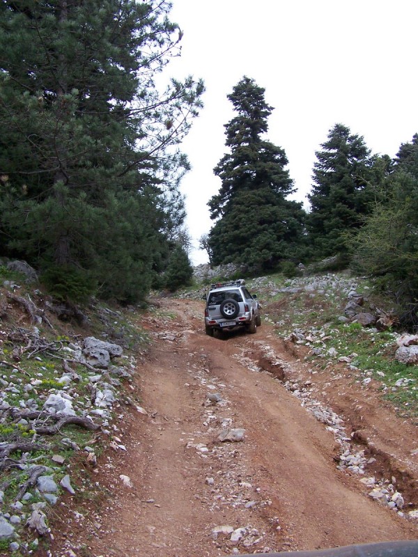 100_3418_tn.jpg