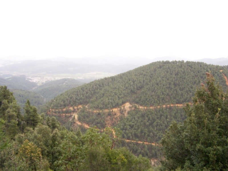 100_3446_tn.jpg