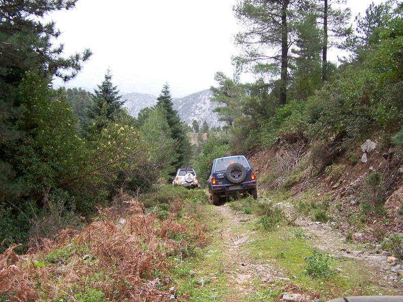 100_3452_tn.jpg