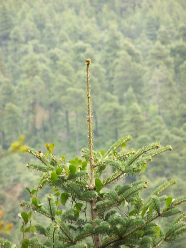 100_3454_tn.jpg