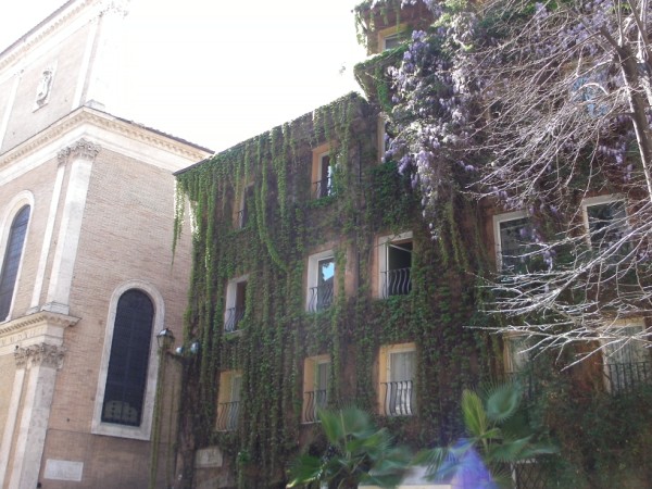 SANY0124 (600 x 450).jpg