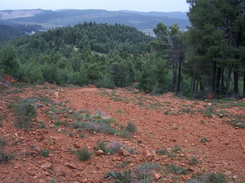100_3485_tn.jpg