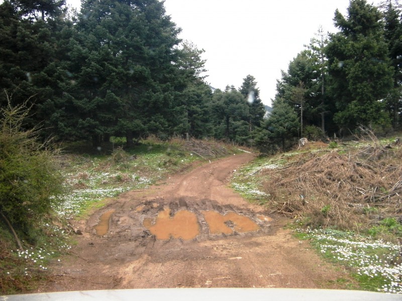 SANY0023.JPG