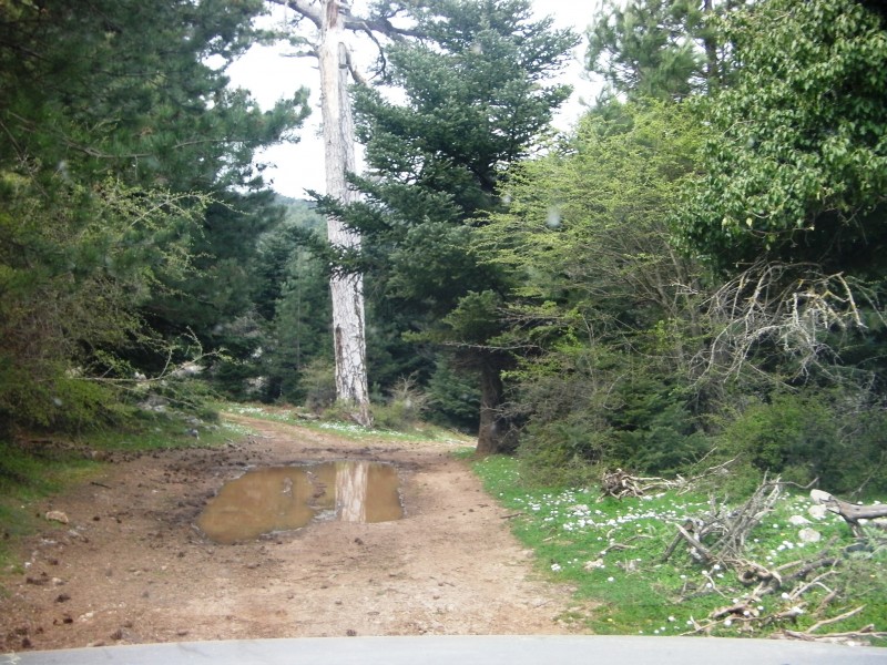 SANY0025.JPG