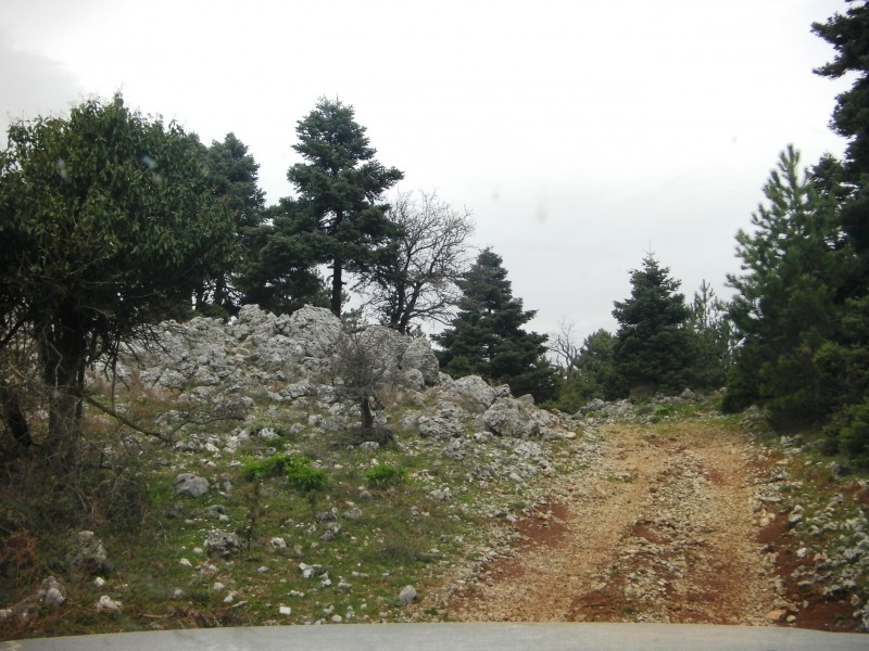 SANY0028.JPG