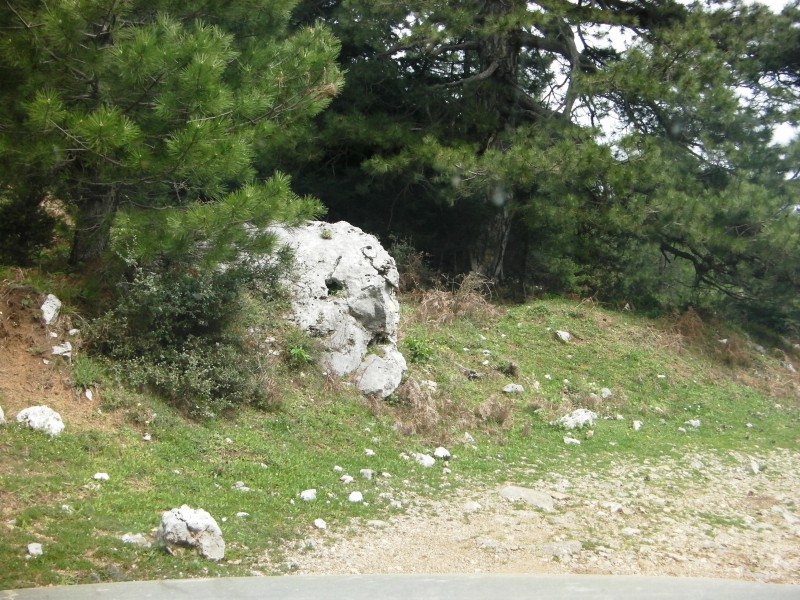 SANY0030.JPG