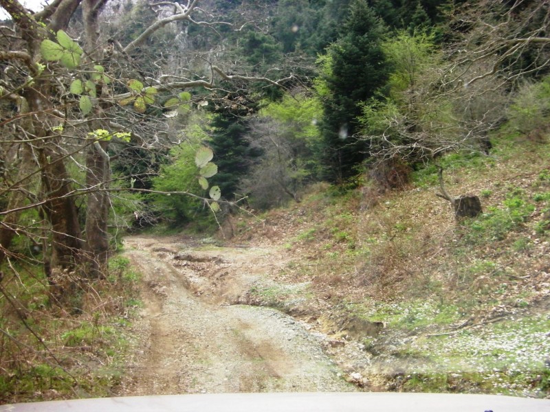 SANY0033.JPG