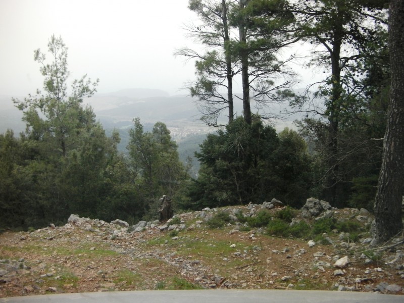 SANY0040.JPG