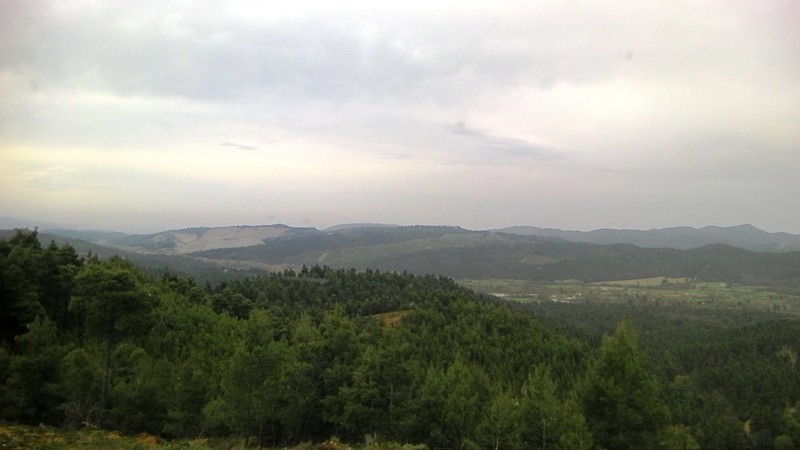 SANY0049.JPG