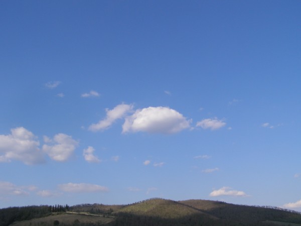 P4098566.jpg