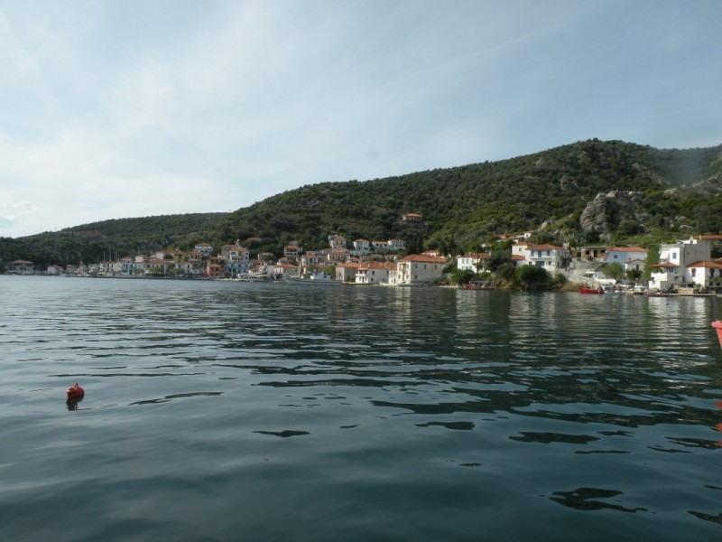 DSCN7072v.JPG
