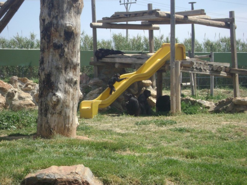 DSC01485.jpg