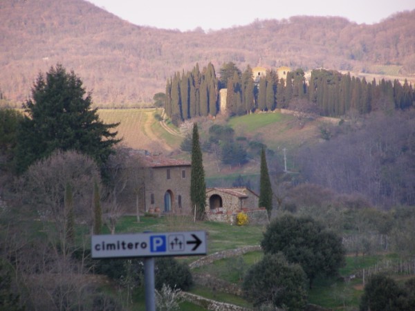 P4098584.jpg