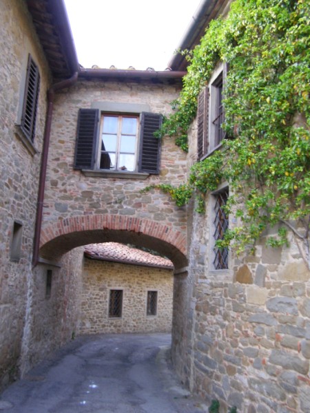 P4098590.jpg