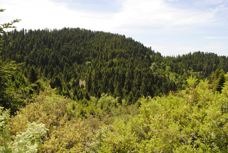 _DSC9772.jpg