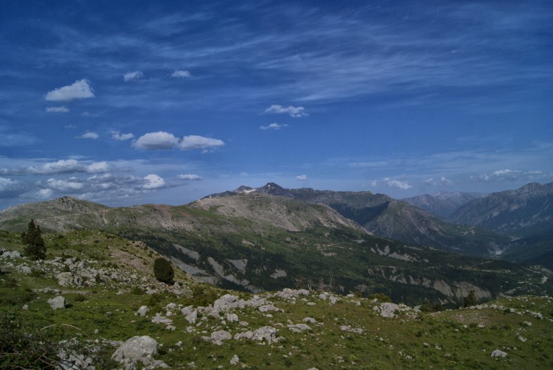 DSC010dd51.jpg