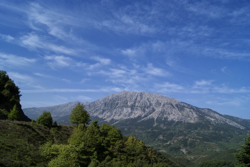 DSC00678.jpg