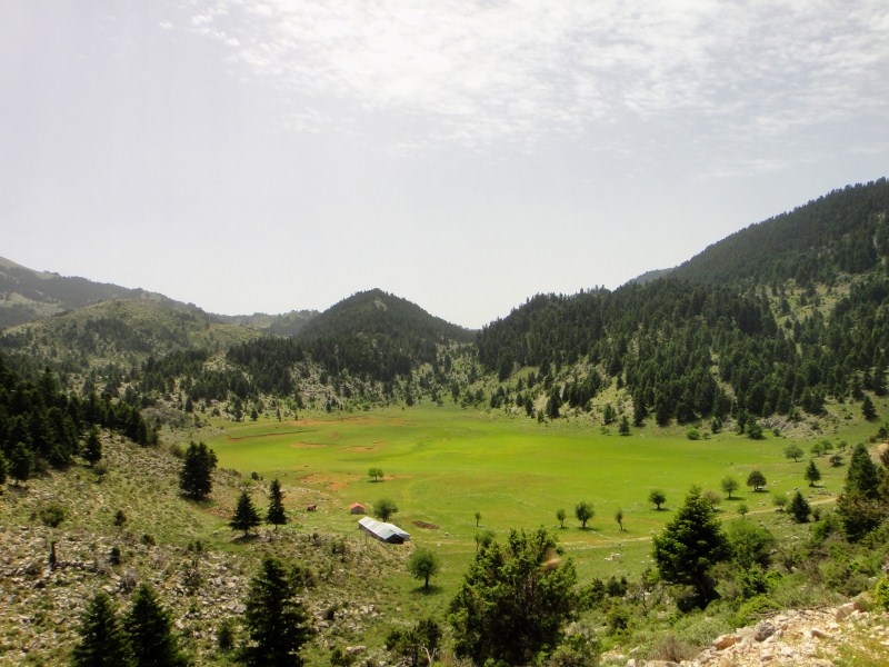 DSC03117.jpg