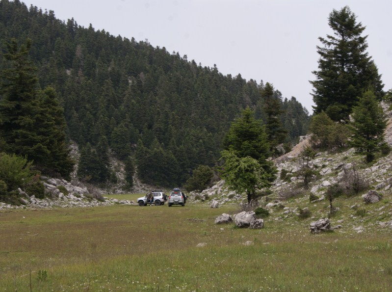DSC00462.jpg