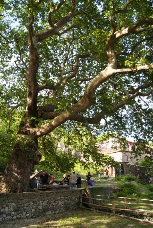 DSC01142.jpg