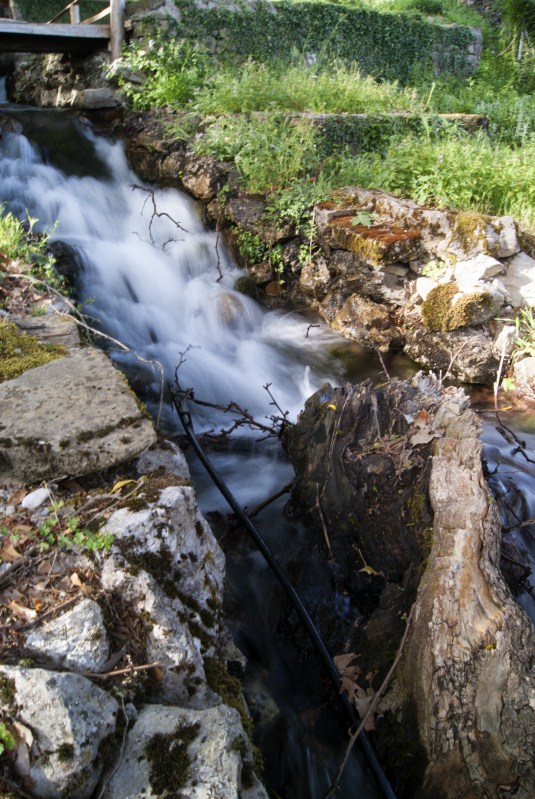 DSC01146.jpg