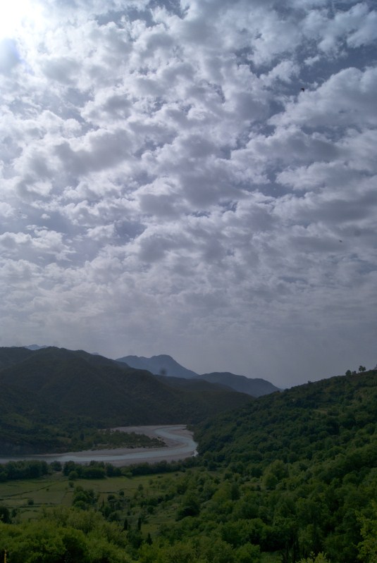 DSC01208.jpg
