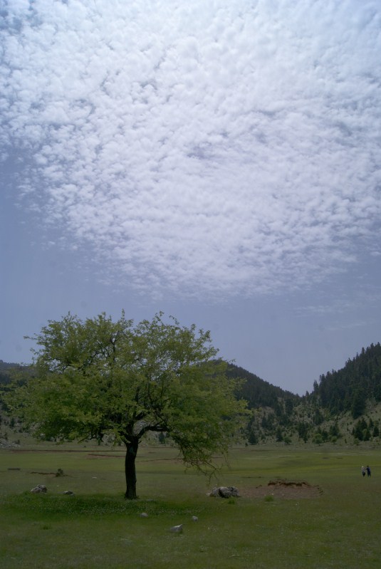 DSC01258.jpg