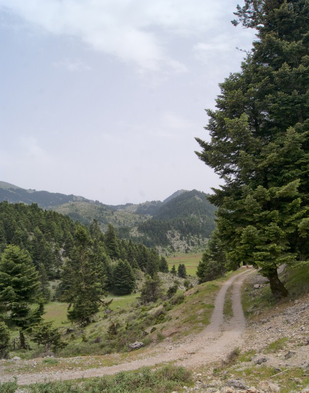 DSC00455.jpg