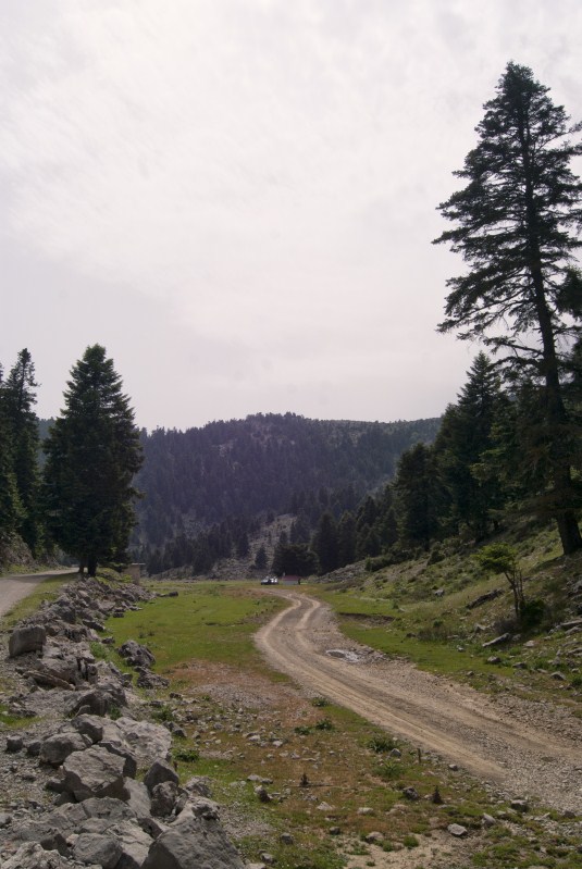 DSC00475.jpg