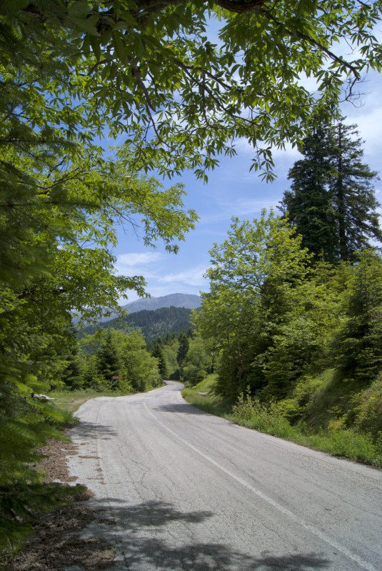 DSC00877.jpg