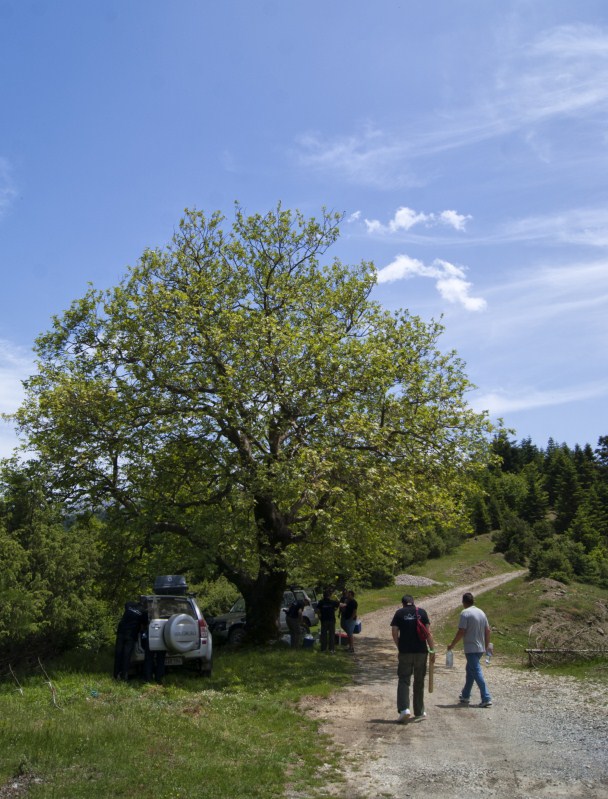 DSC00869.jpg