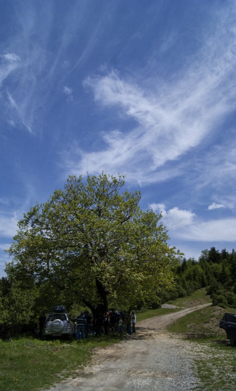 DSC00886.jpg