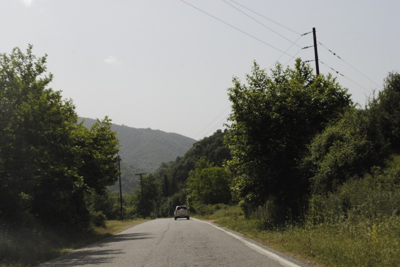 _DSC0911.jpg