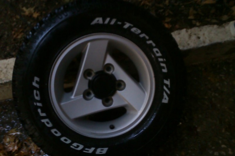 IMAG0069.jpg