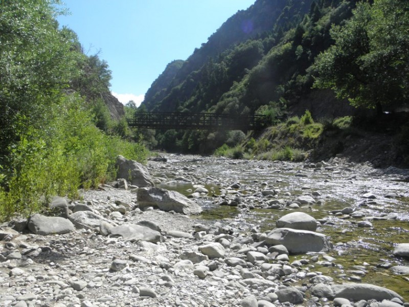 P8061461.jpg