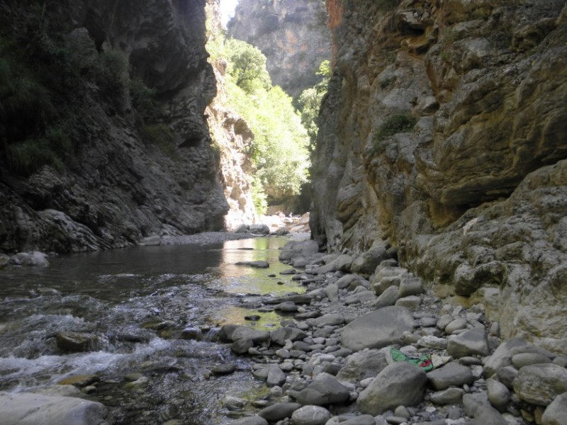 P8061474.jpg