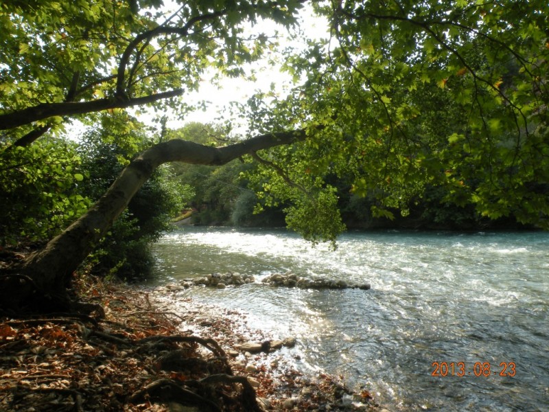 DSCN8593.JPG