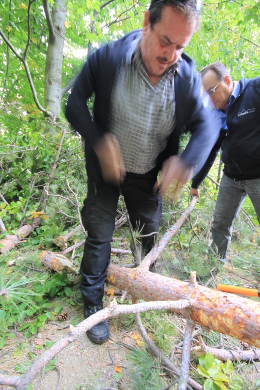 2013_10_06_9999_31.JPG
