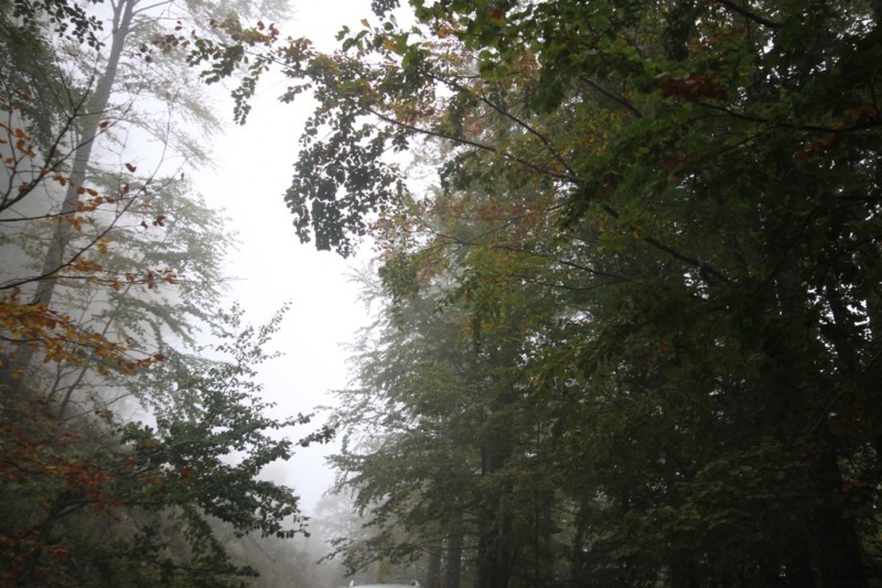 2013_10_06_9999_44.JPG