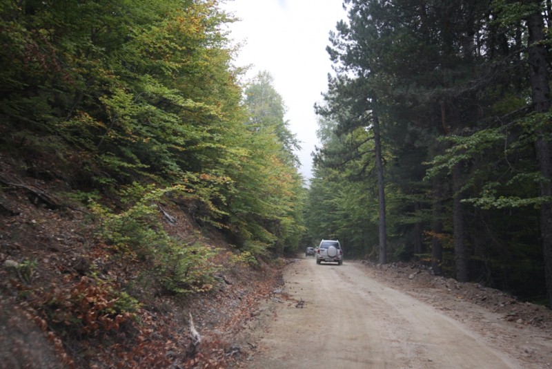 2013_10_06_9999_52.JPG