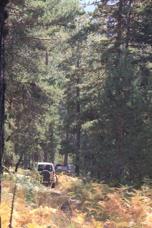 2013_10_06_9999_141.JPG