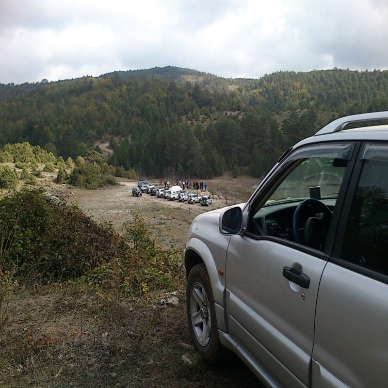 DSC_0050 (1200 x 1200).jpg