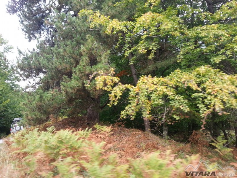 20131006_115524 (Αντιγραφή).jpg