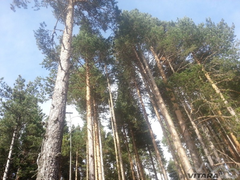 20131006_153050 (Αντιγραφή).jpg