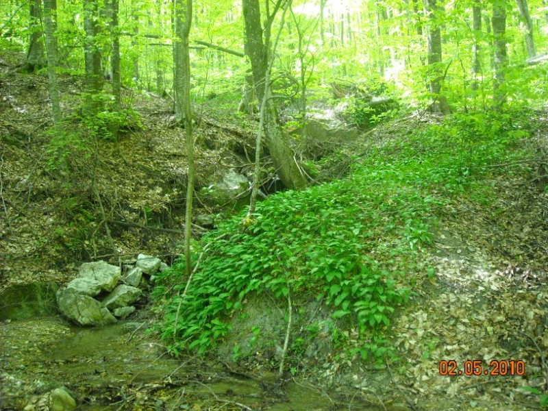 Bermio 090.jpg