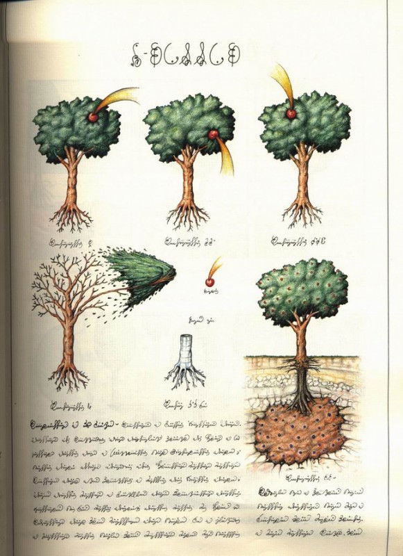 cdxspprns26.jpg