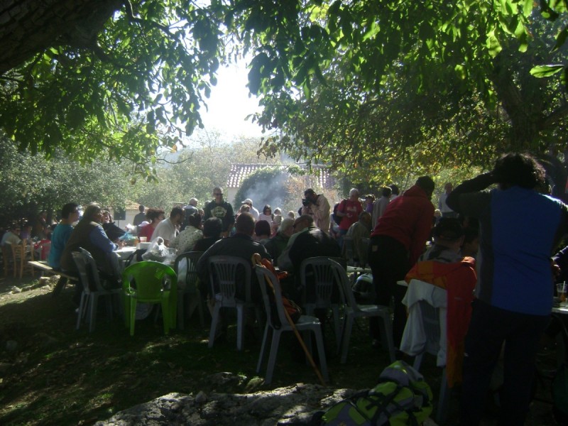 DSC01866.jpg