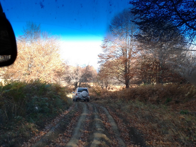 20131103_111835small.jpg