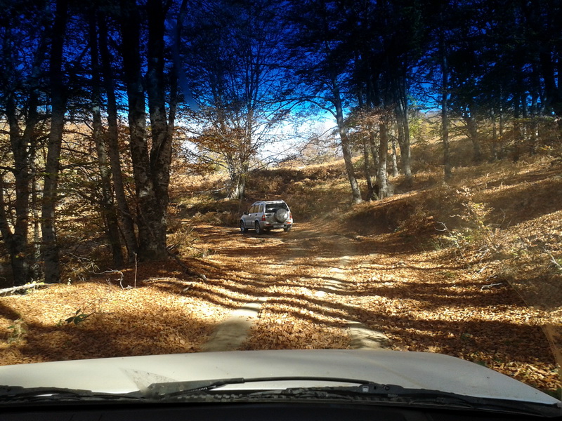 20131103_111914small.jpg