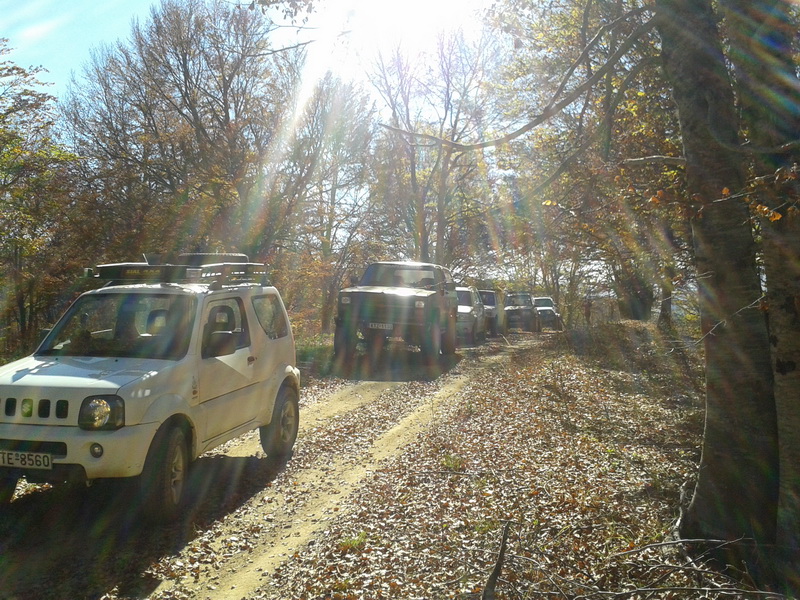 20131103_113017small.jpg